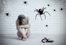 Peur des araignées : comment vaincre l'arachnophobie ?